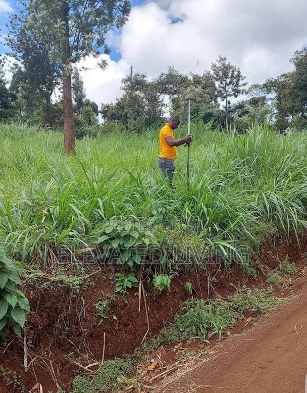 Baraka Gardens - thumbnail 6