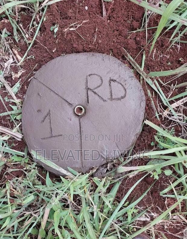 Baraka Gardens - thumbnail 7