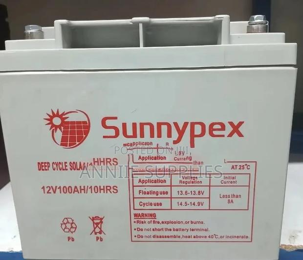 100 Ah 10 HRS Sunnypex Battery