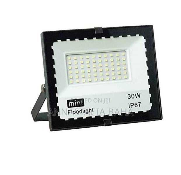Mini Super Bright 30W LED FLOODLIGHT - main view