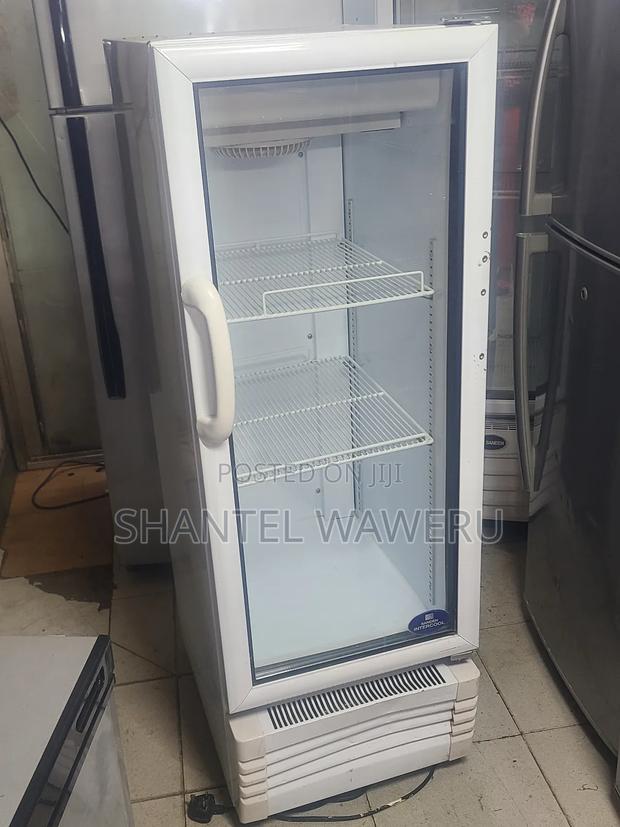 Affordable 1 Door Glass Fridge