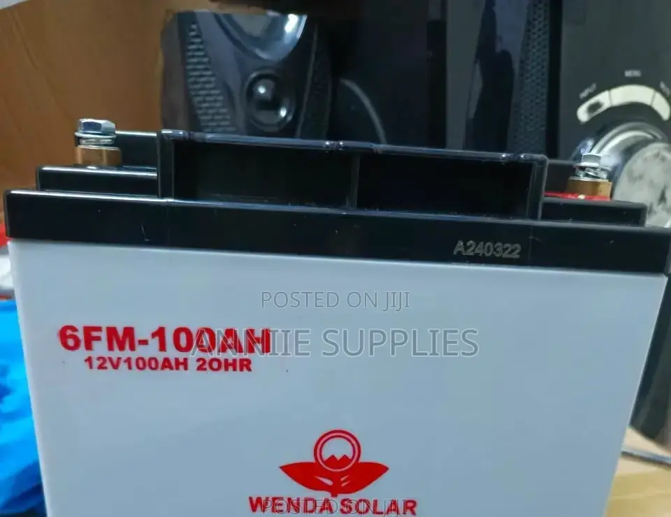 Wenda 100ah 12V Solar Battery