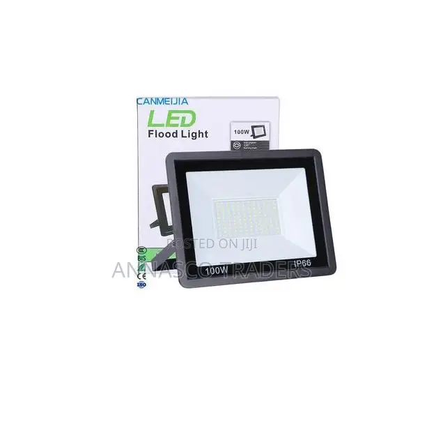 Ip Electric Floodlight 100 WATTS