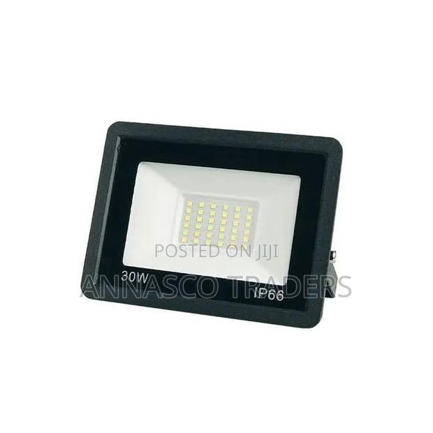Ip Outdoor Floodlight 30WATTS
