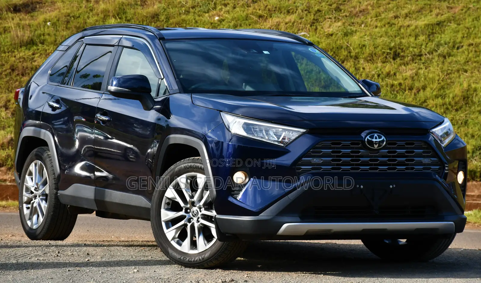 Toyota RAV4 2020 Blue