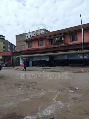 Nairobi Prime Plot , 50*100, Ngara