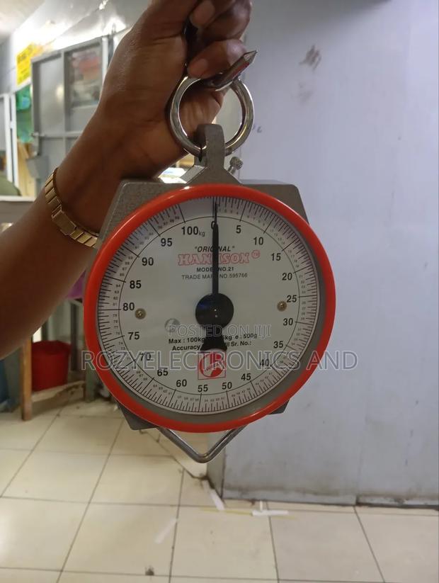 Analogue Hanson Scale - main view