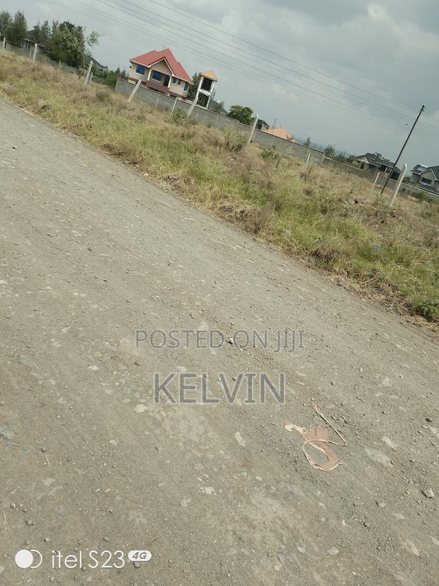 Offer Mlolongo(Sabaki)Plot - main view