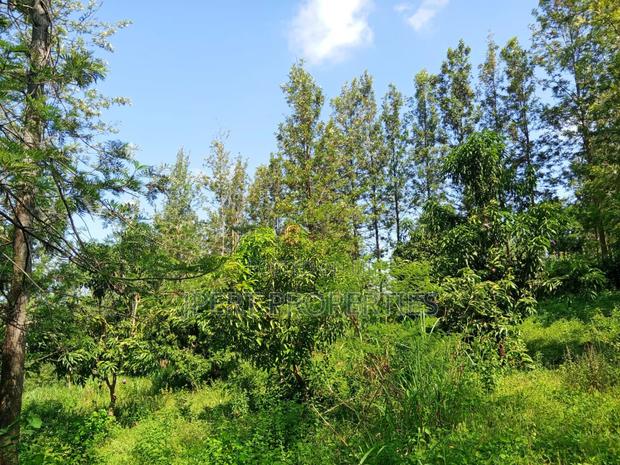 Flat Land on Sale - main view