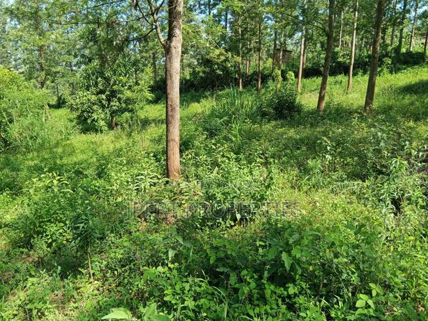 Flat Land on Sale - thumbnail 2