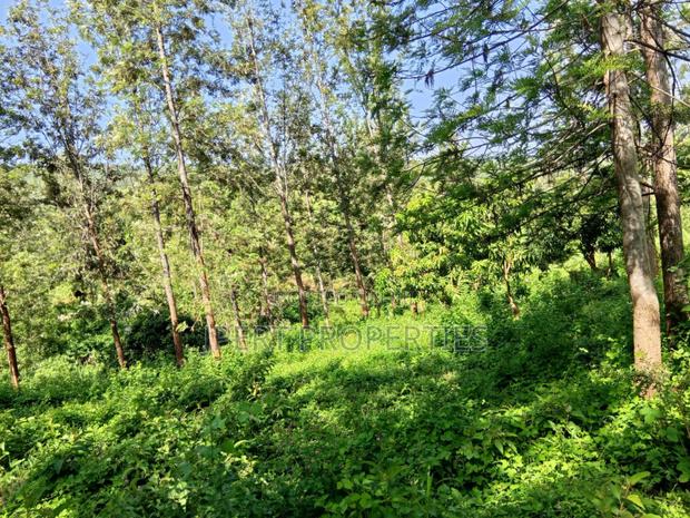 Flat Land on Sale - thumbnail 3