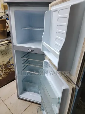 Two Doors Mini Frost Fridge