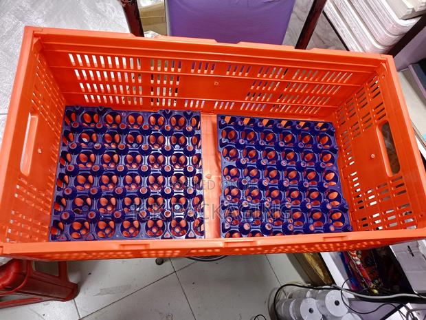 Capacity 10 Trays Transportation Crates - thumbnail 3