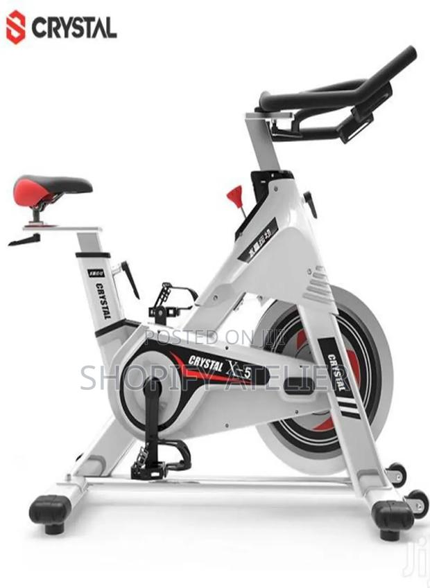 Ascend 160kg Stimulation Exercise Spinning Bike