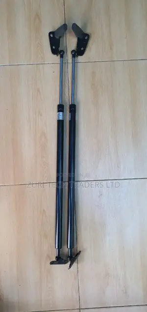 Toyota Alphard Boot Shock