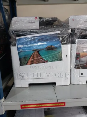 Printer Repair and Diagnose Experts