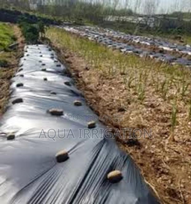Retain Moisture Reduce Weeds With Mulch