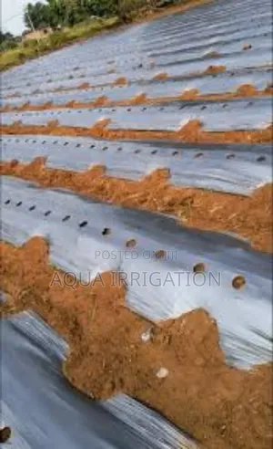 Mulch Film Paper – Boost Your Crop Yield!