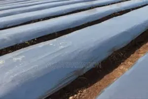 Mulch Film Paper for Healthier, Stronger Plants