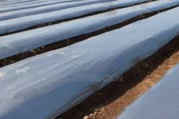Mulch Film Paper for Healthier, Stronger Plants