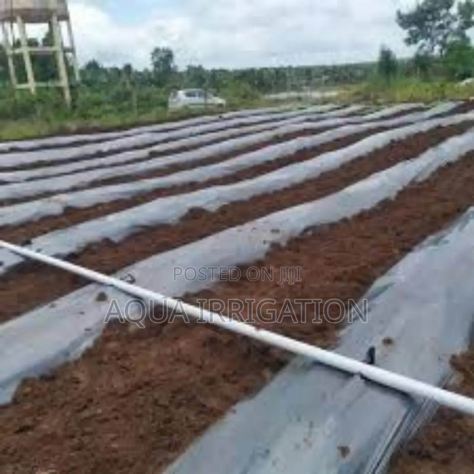 Protect Your Soil With Quality Mulch Film