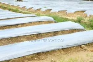 Better Soil, Better Crops With Mulch Film!