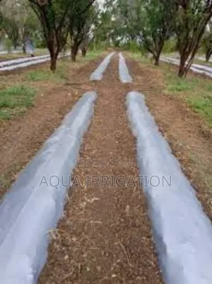 Mulch Film – The Secret to Higher Yields