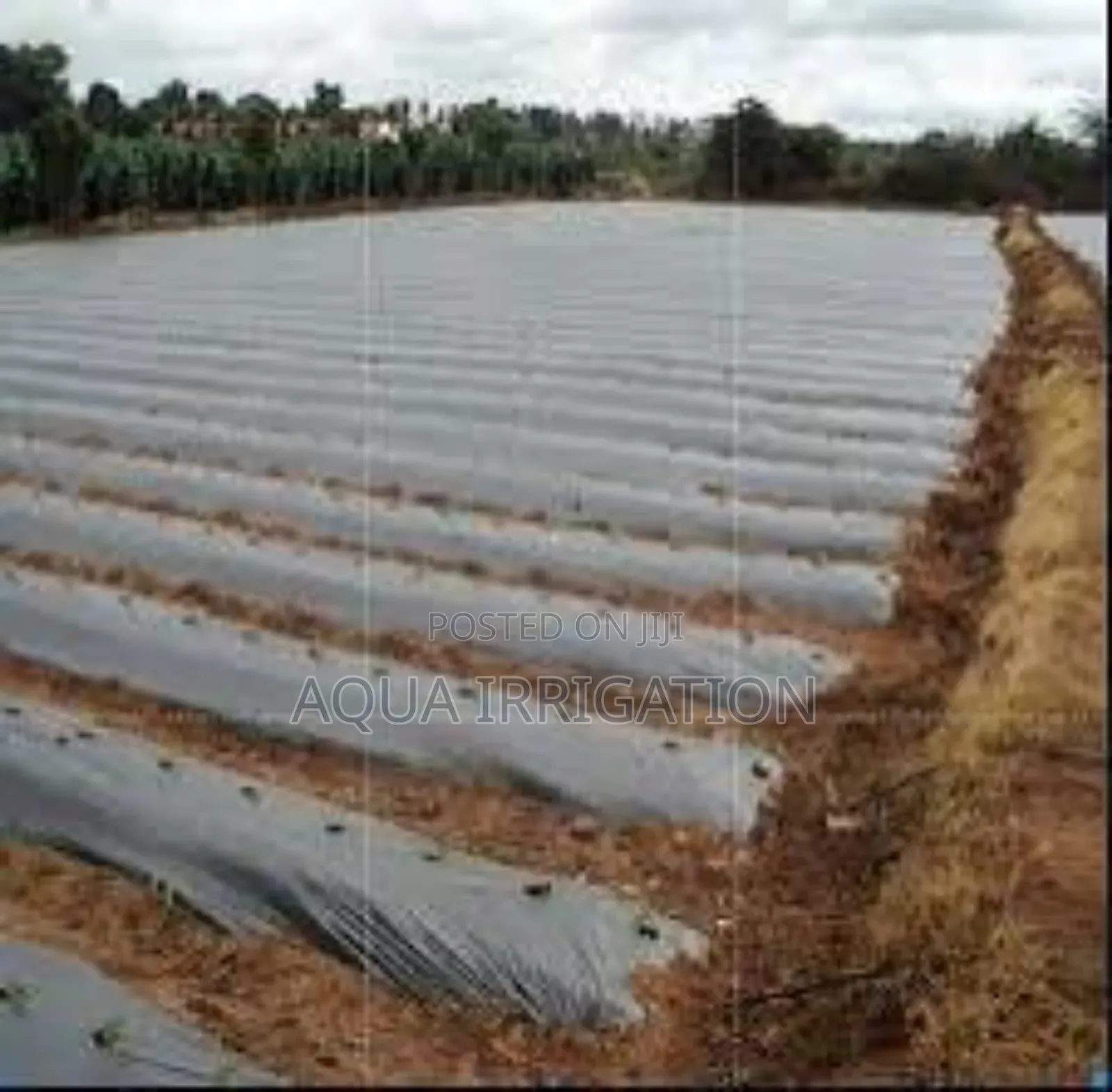 Eco-Friendly Mulch Film for Smart Farming!