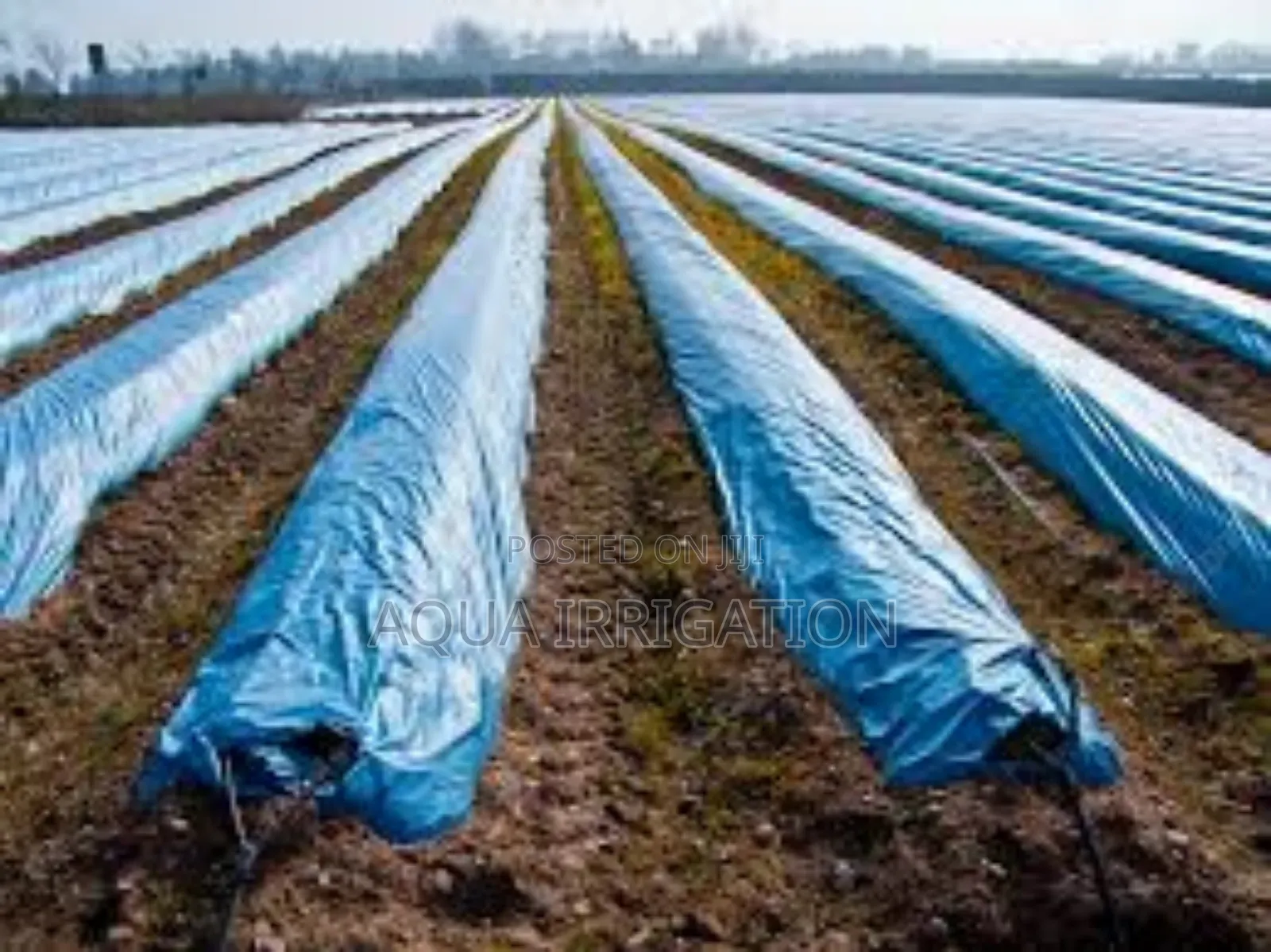 Durable Mulch Film for Every Season!