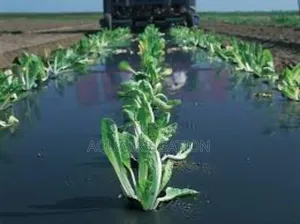 Grow More With the Best Mulch Film Paper