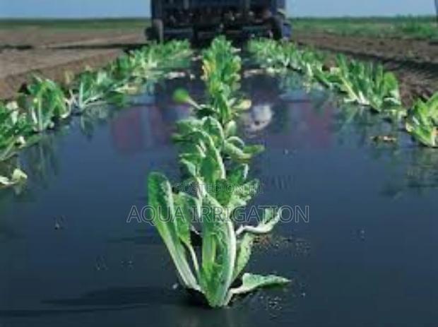 Grow More With the Best Mulch Film Paper