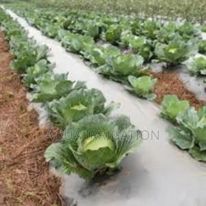 Save Water Prevent Weeds With Mulch Film - thumbnail 2