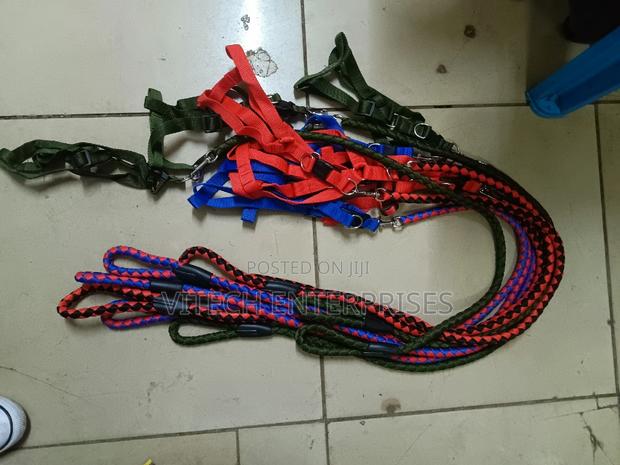 Dog Leash Dog Leash, - main view