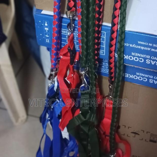 Dog Leash, - main view