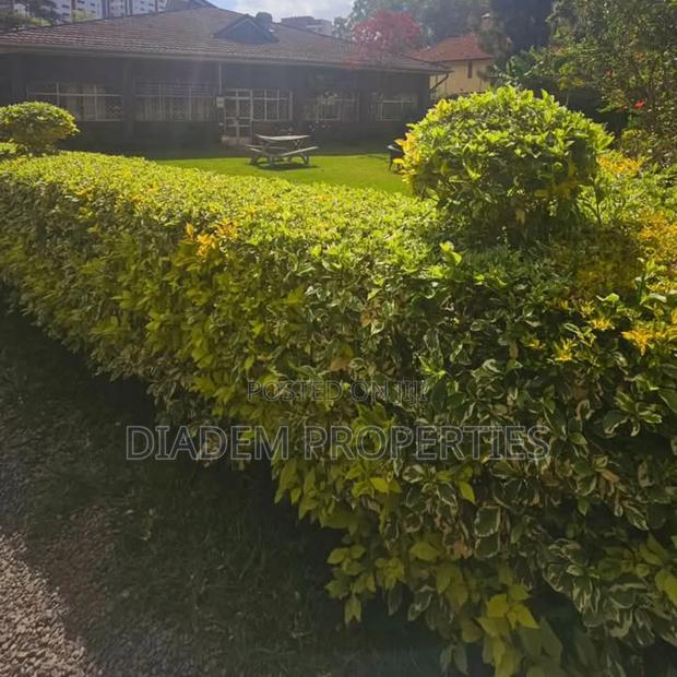 Commercial Property to Let - thumbnail 6