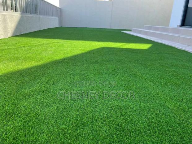 Artificial Astrograss - main view