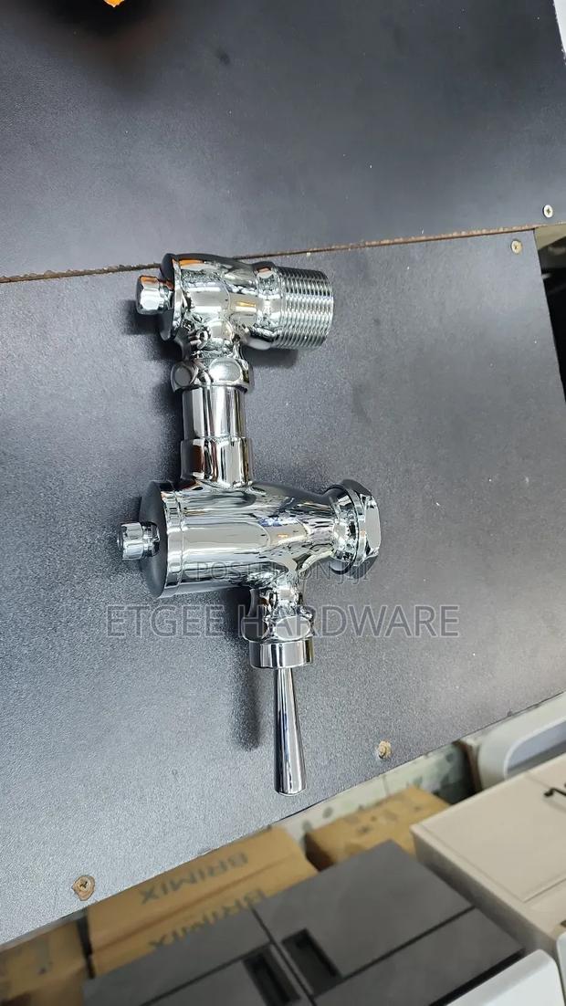Toilet Flash Valve - main view