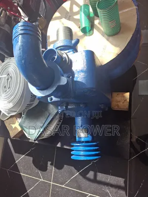 Bare Pump 80bpz100