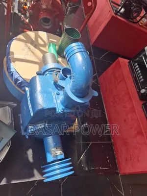Bare Pump 80bpz100