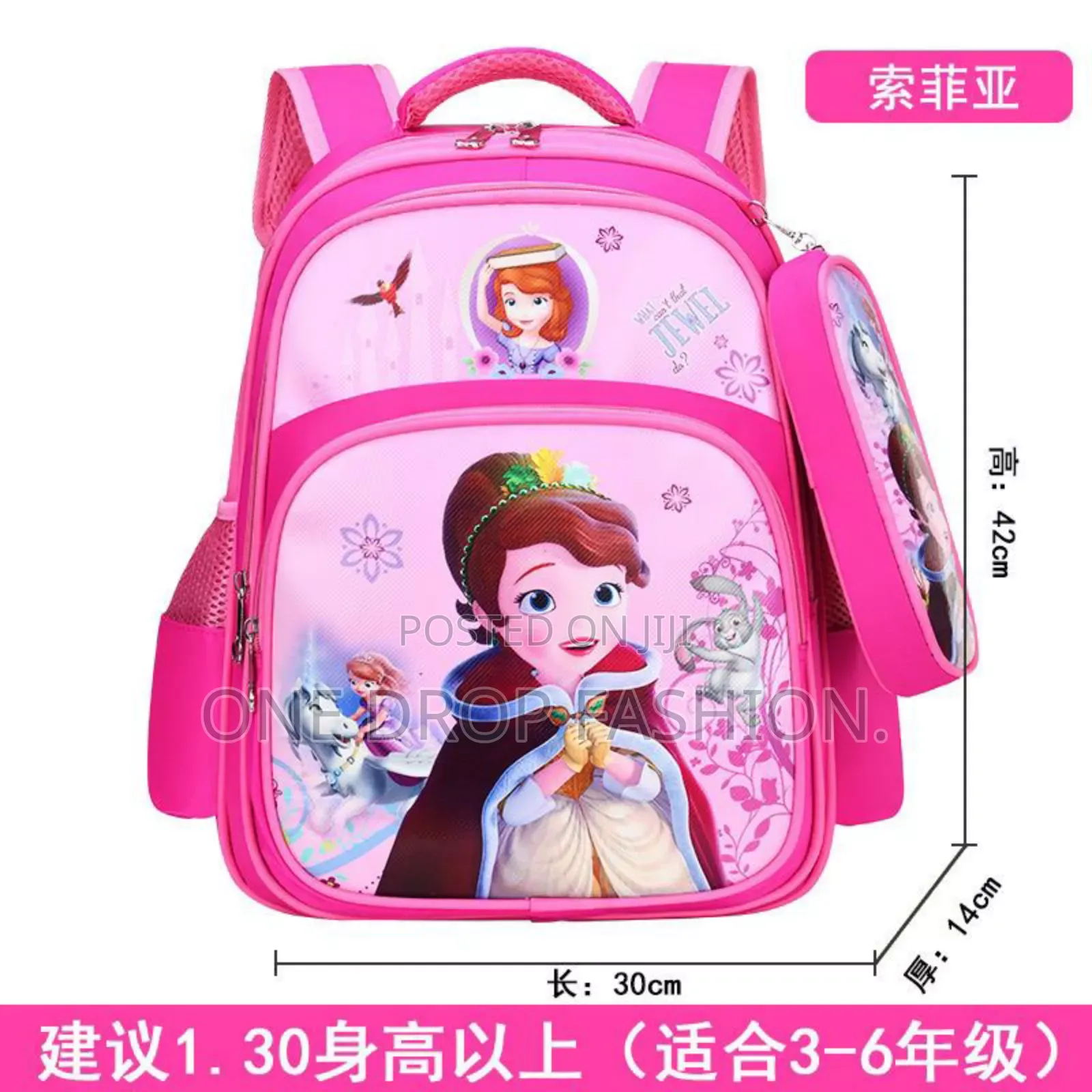 2 in 1cartoon Themed School Bags