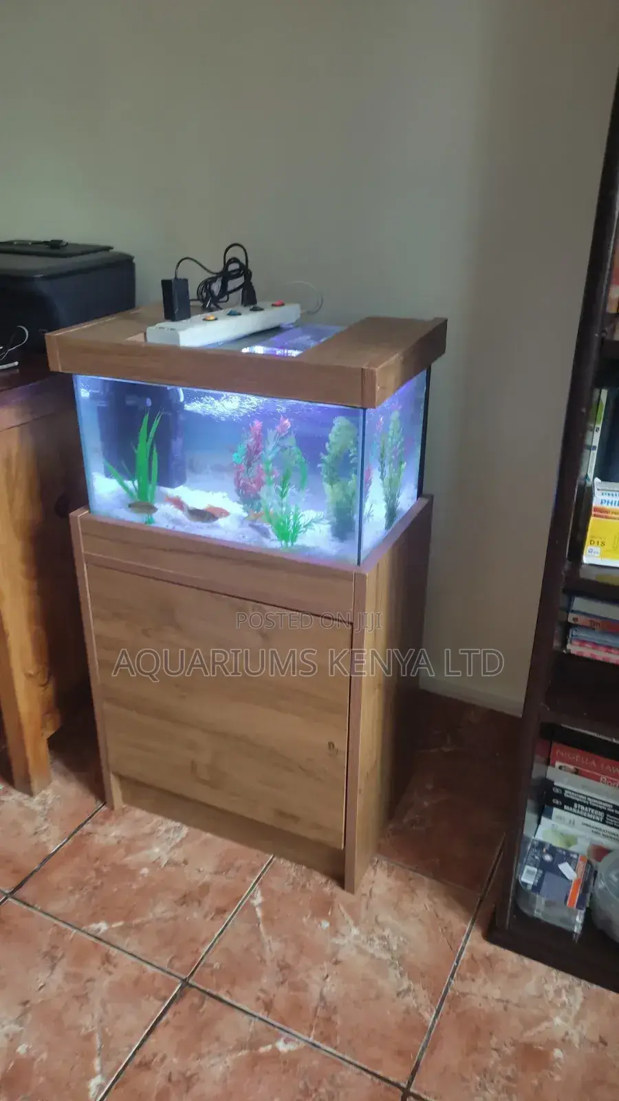 Budget Aquarium