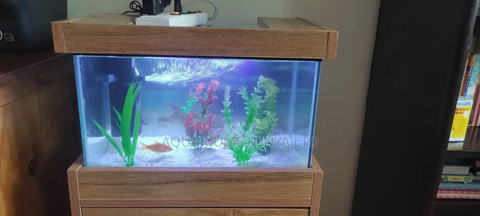 Gift Aquarium