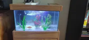 Gift Aquarium