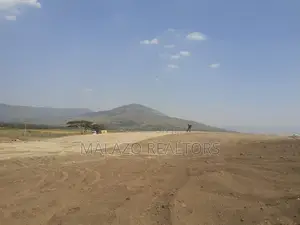 127 Acres for Sale in Longonot