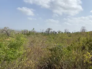 36 Acres for Sale Mavueni Kilifi