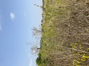 36 Acres for Sale Mavueni Kilifi