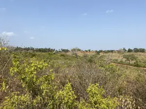 36 Acres for Sale Mavueni Kilifi