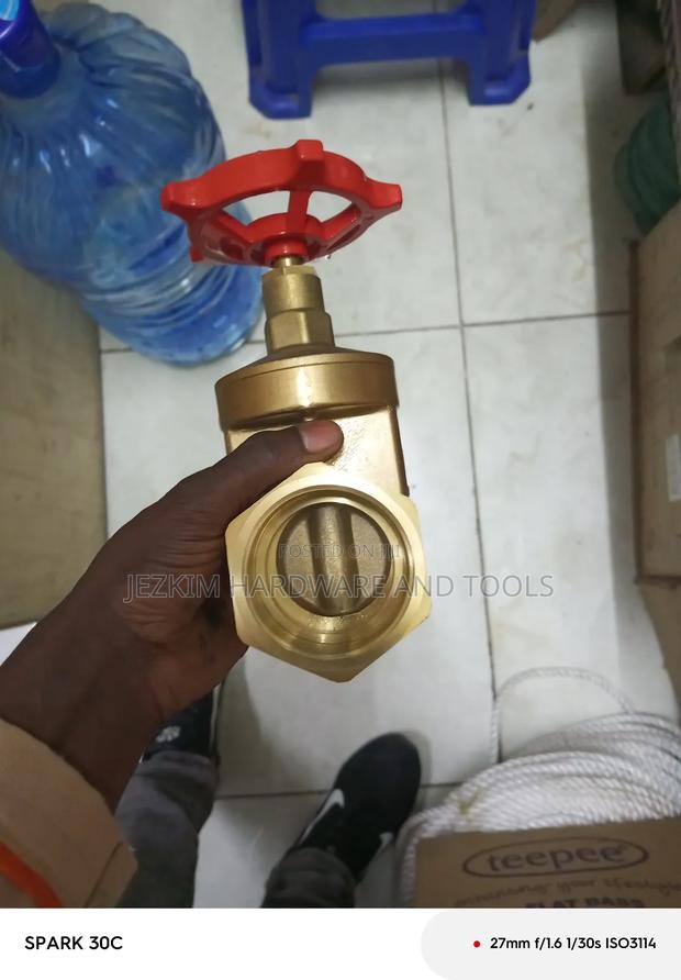 2" Peglar Gate Valve - main view