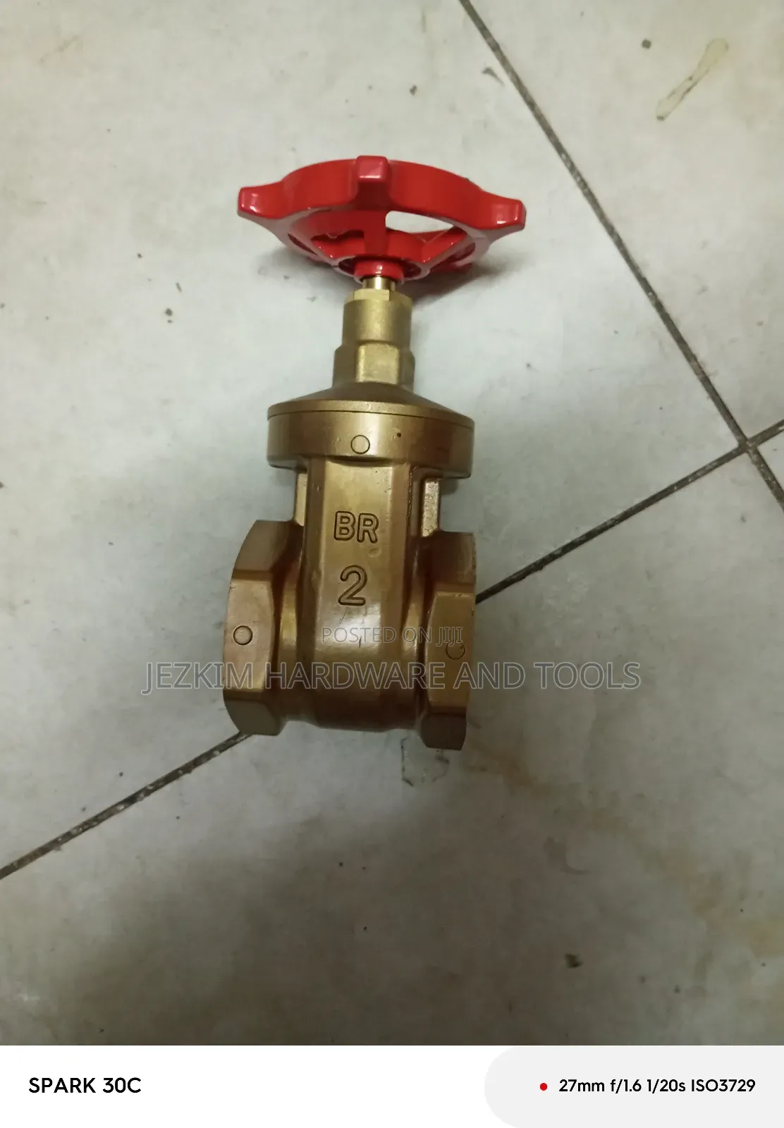 2" Peglar Gate Valve