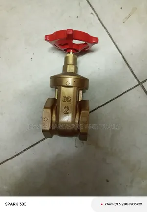 2" Peglar Gate Valve